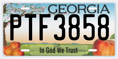 GA license plate PTF3858