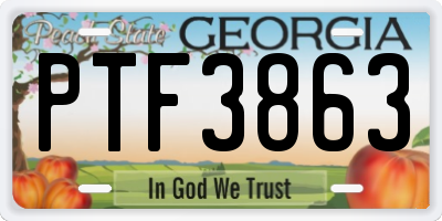 GA license plate PTF3863