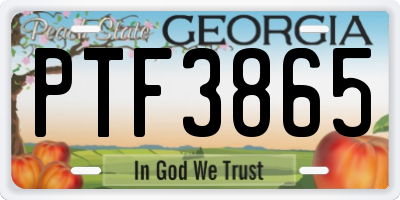 GA license plate PTF3865