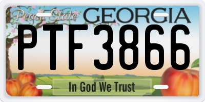 GA license plate PTF3866