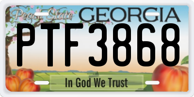 GA license plate PTF3868