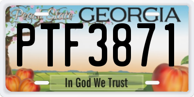 GA license plate PTF3871