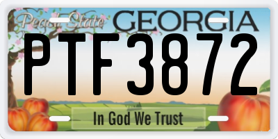 GA license plate PTF3872