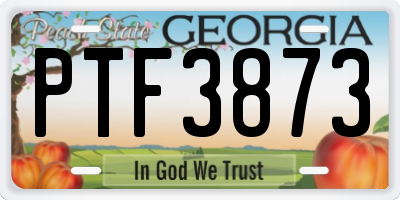 GA license plate PTF3873