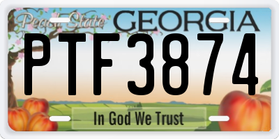GA license plate PTF3874