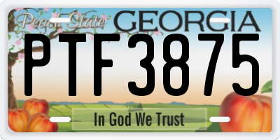 GA license plate PTF3875