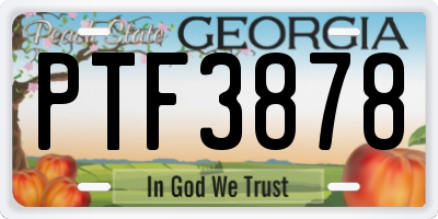 GA license plate PTF3878