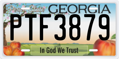 GA license plate PTF3879