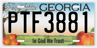 GA license plate PTF3881