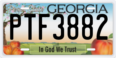 GA license plate PTF3882