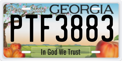 GA license plate PTF3883