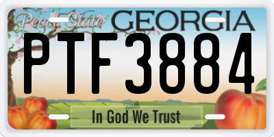 GA license plate PTF3884