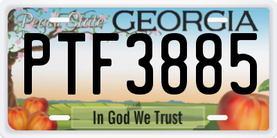 GA license plate PTF3885
