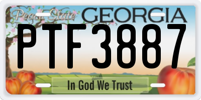 GA license plate PTF3887