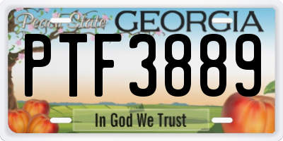 GA license plate PTF3889
