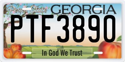 GA license plate PTF3890