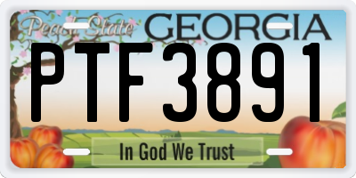 GA license plate PTF3891