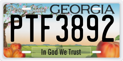 GA license plate PTF3892