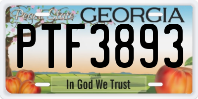 GA license plate PTF3893