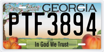 GA license plate PTF3894