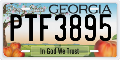 GA license plate PTF3895