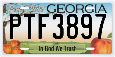 GA license plate PTF3897