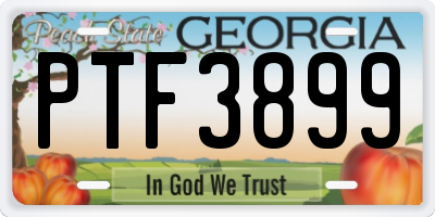 GA license plate PTF3899