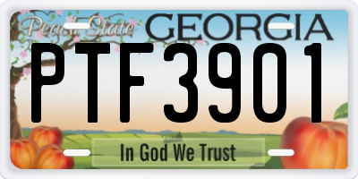 GA license plate PTF3901