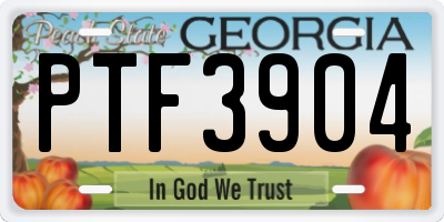 GA license plate PTF3904