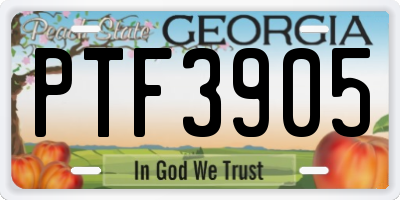 GA license plate PTF3905