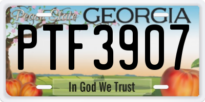 GA license plate PTF3907
