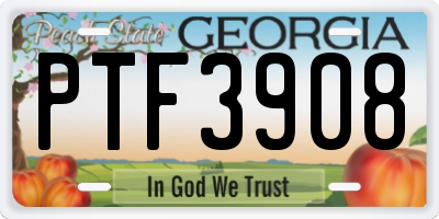 GA license plate PTF3908