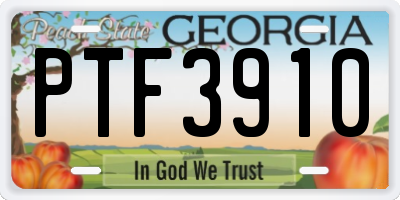 GA license plate PTF3910