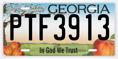 GA license plate PTF3913