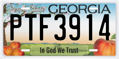 GA license plate PTF3914