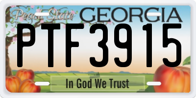 GA license plate PTF3915