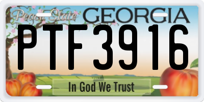 GA license plate PTF3916