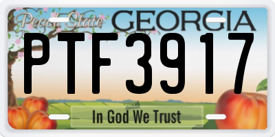 GA license plate PTF3917