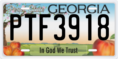 GA license plate PTF3918