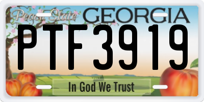 GA license plate PTF3919