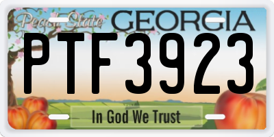 GA license plate PTF3923