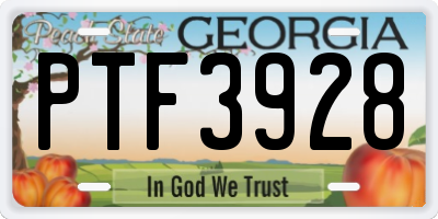 GA license plate PTF3928