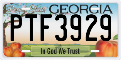 GA license plate PTF3929
