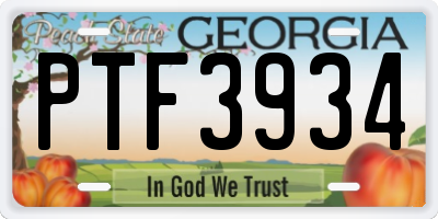 GA license plate PTF3934