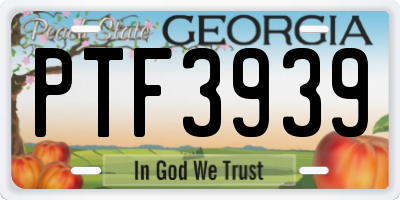 GA license plate PTF3939
