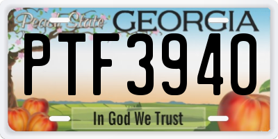 GA license plate PTF3940