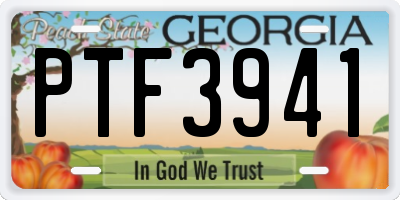 GA license plate PTF3941