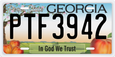 GA license plate PTF3942