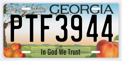 GA license plate PTF3944