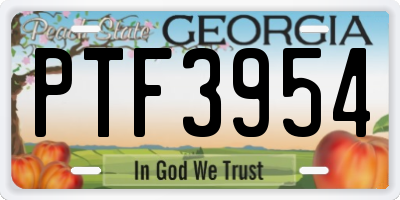 GA license plate PTF3954